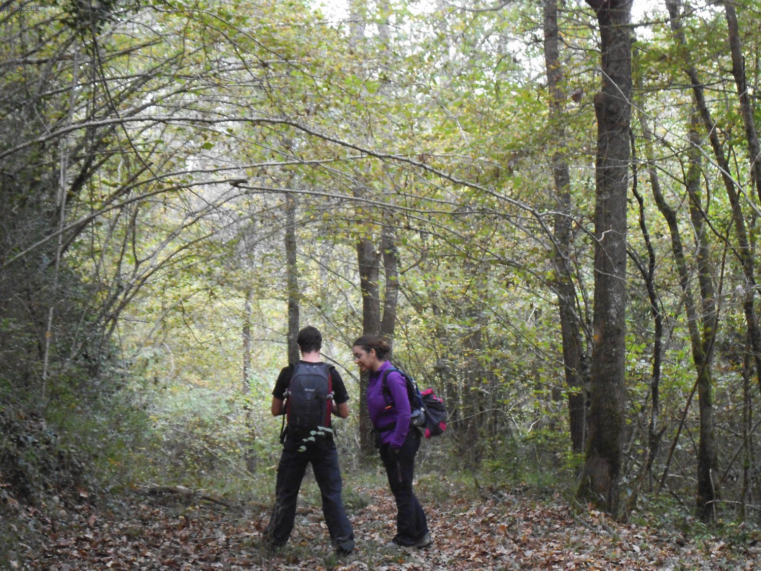 Camino de El Bruguetar
