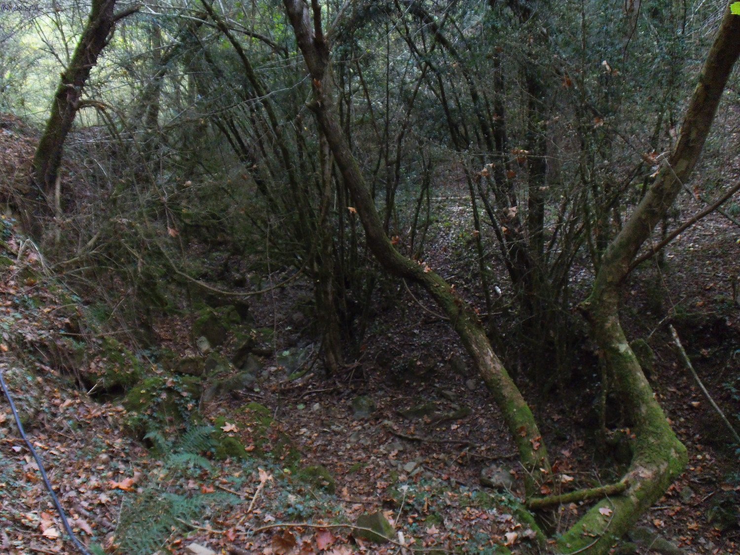 Riera de Santal&oacute;