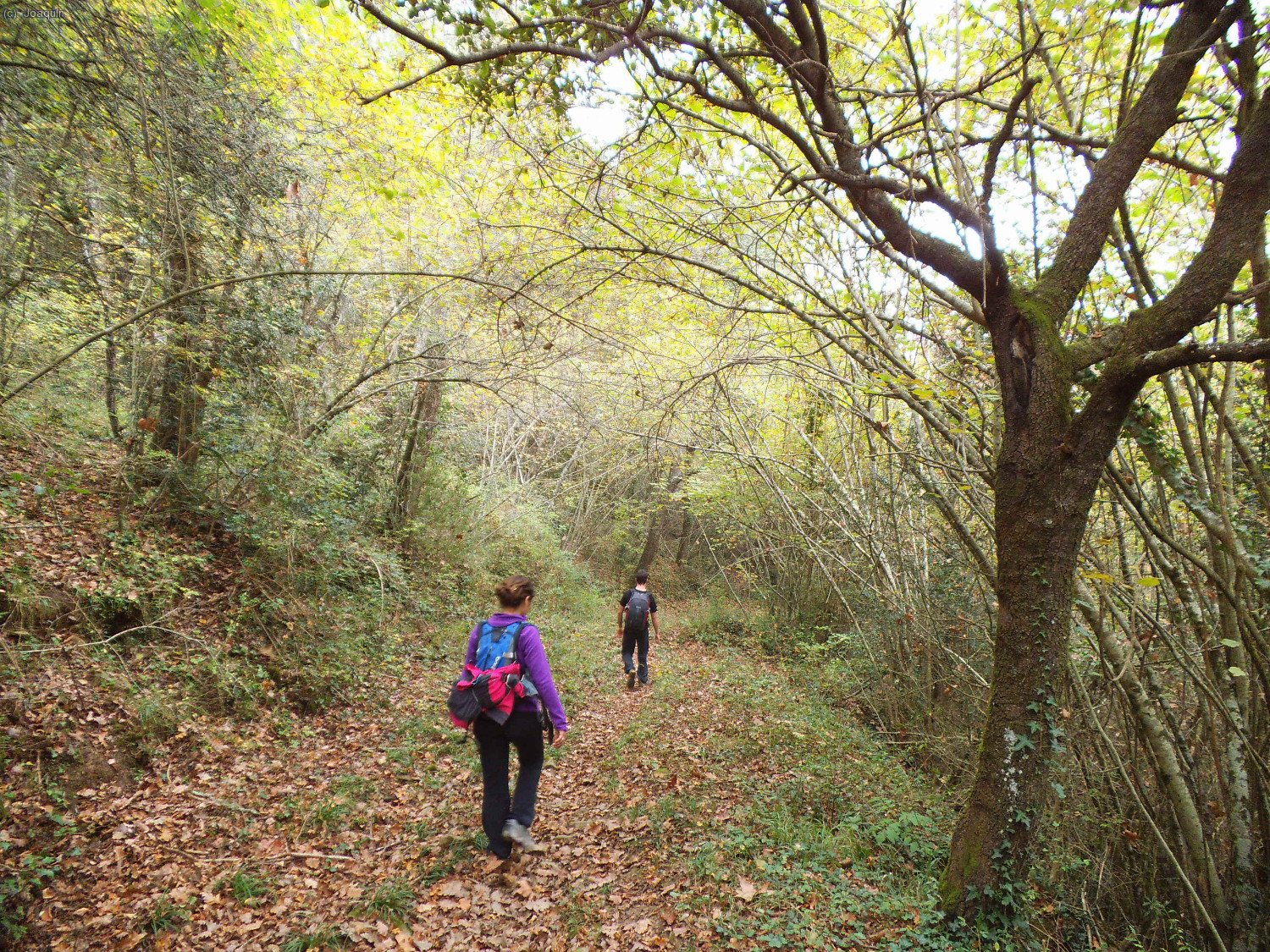 Bajando junto a la Riera de Santal&oacute;