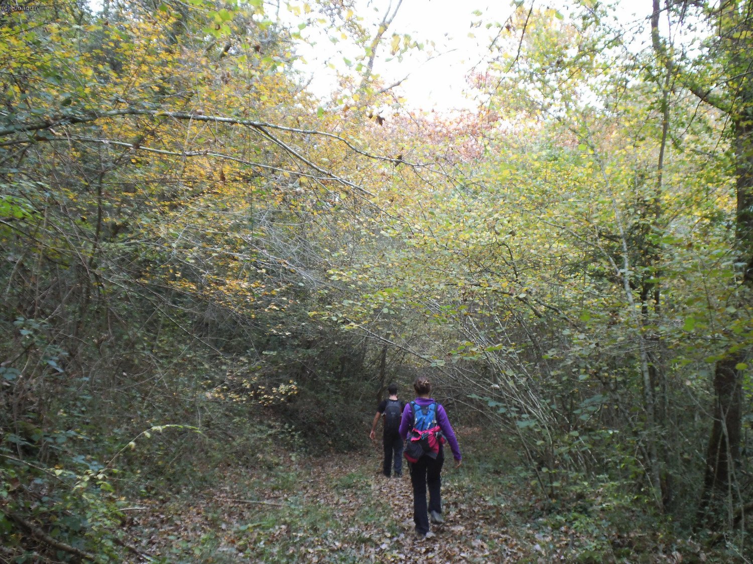 Bajando junto a la Riera de Santal&oacute;