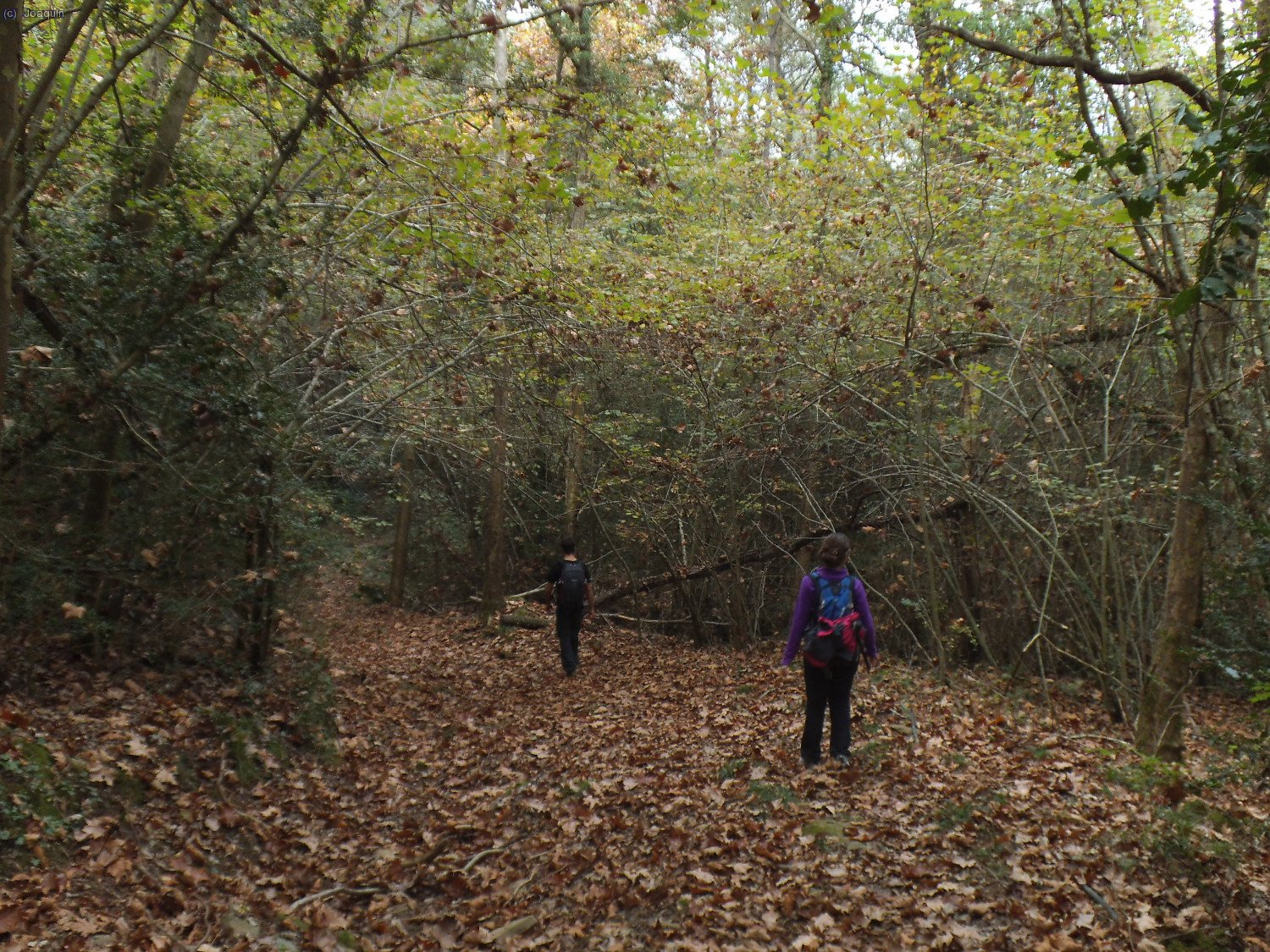 Bajando junto a la Riera de Santal&oacute;