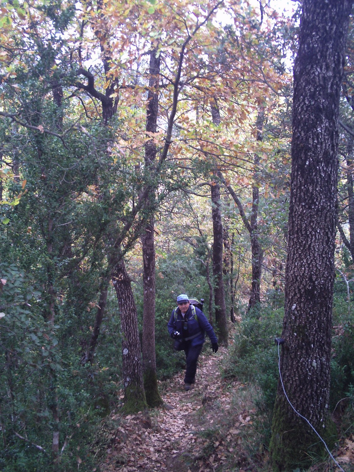 Kike por la senda de la Sierra dels Bufadors