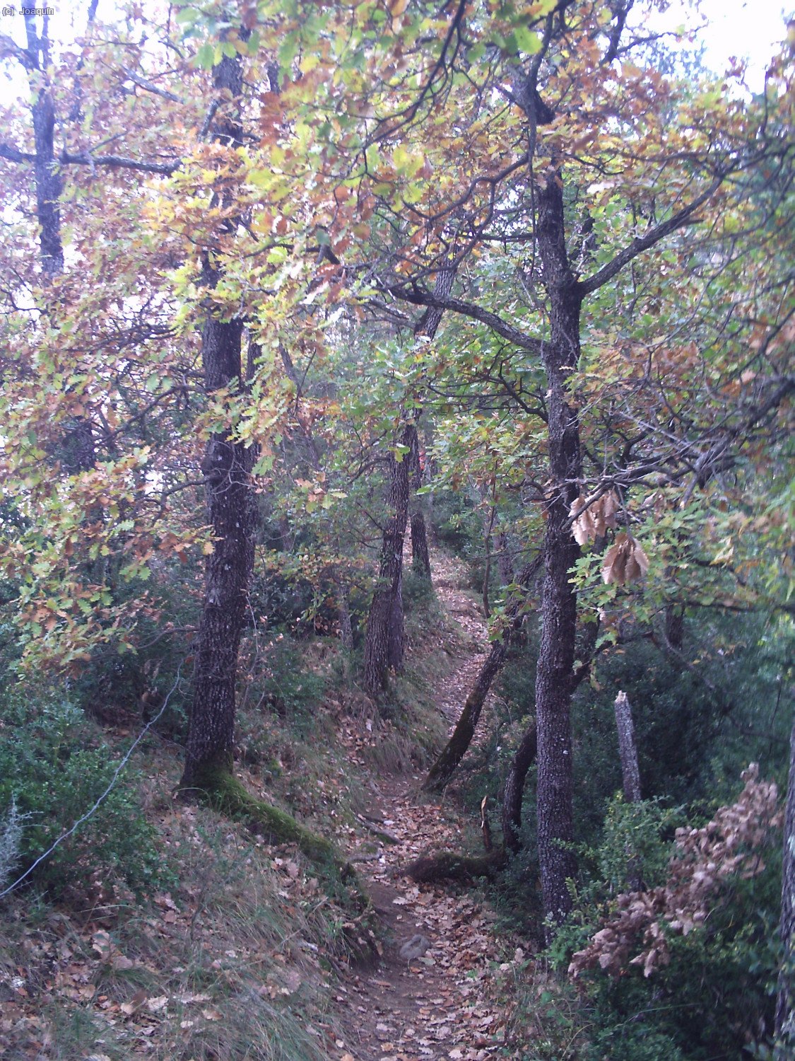 Senda de la Sierra dels Bufadors