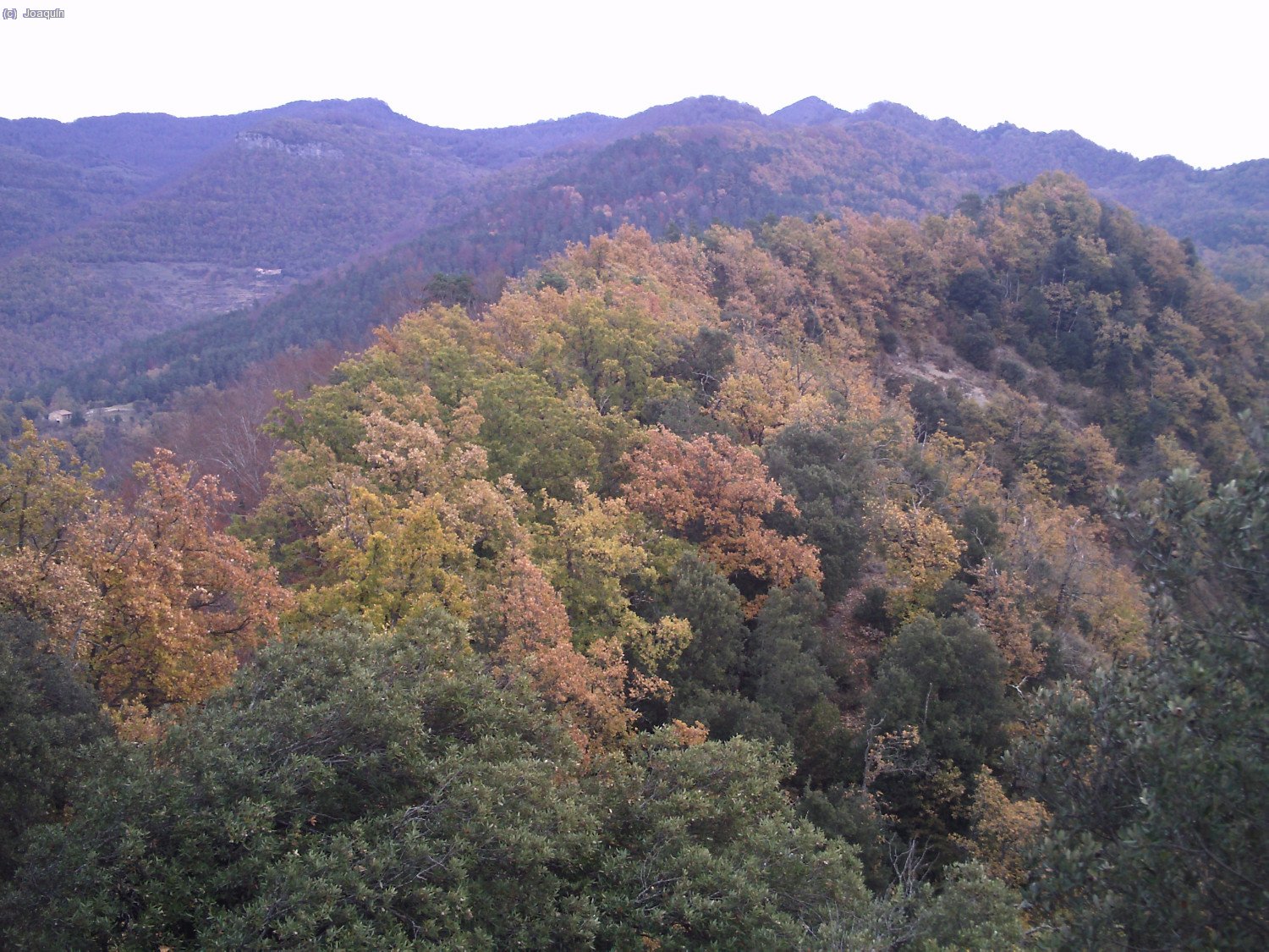 Magn&iacute;ficas vistas coloridas de los bosques de la Sierra dels Bufadors