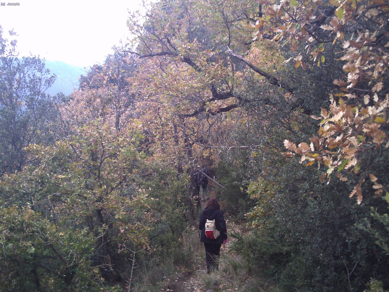 Ani por la senda de la Sierra dels Bufadors