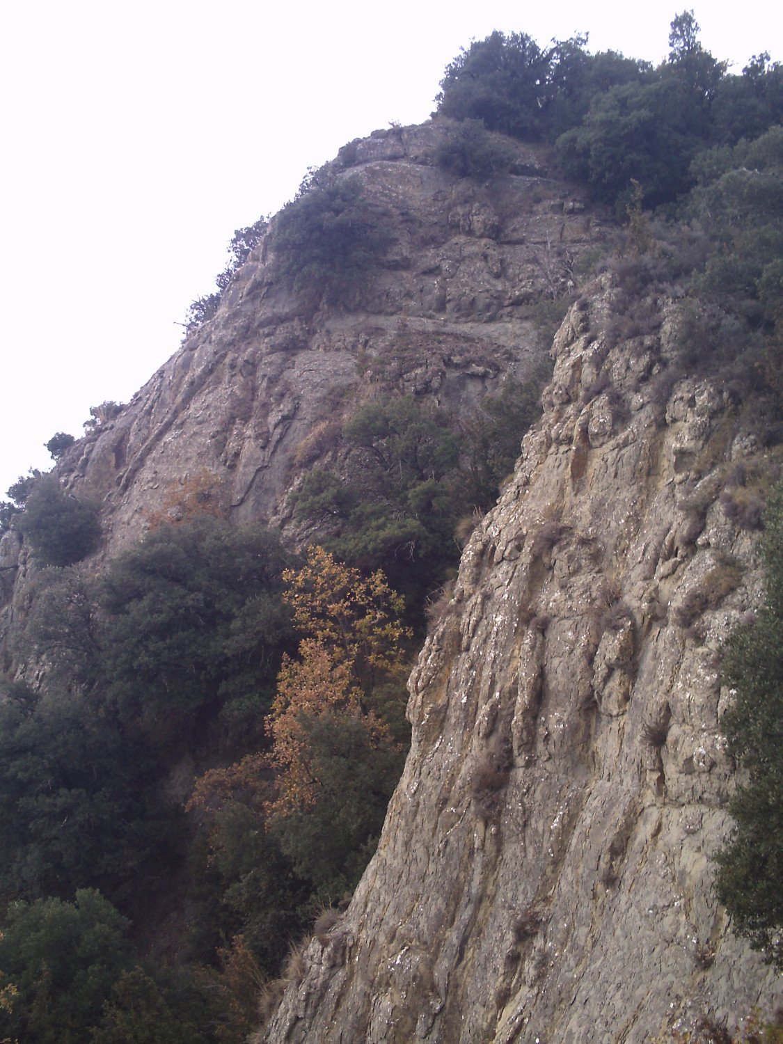 Paredes que miran al sur desde la cima de la Sierra dels Bufadors