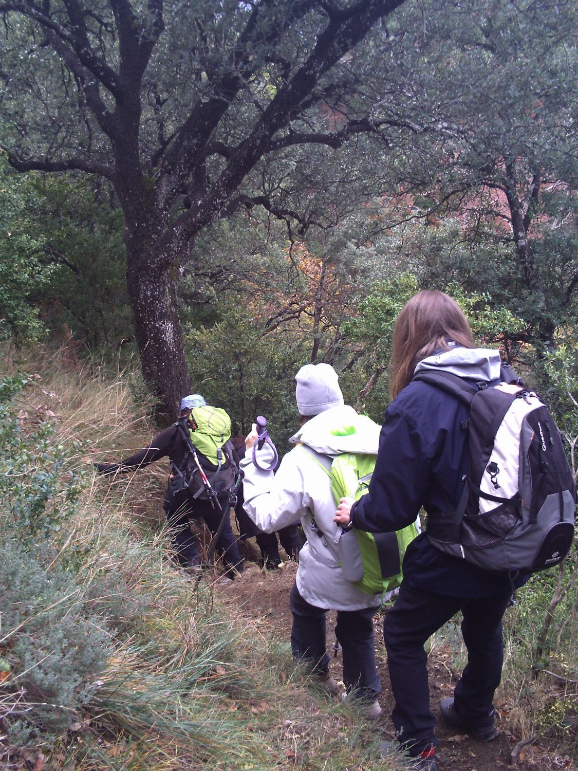 Subibaja en la senda