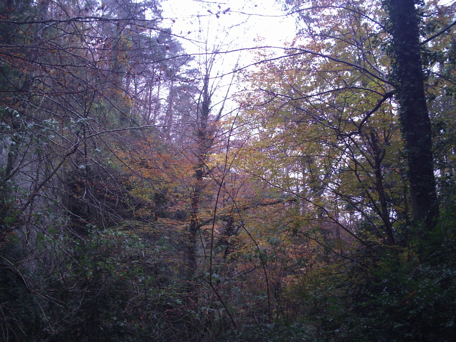 Entre las paredes en la cara norte de la Sierra dels Bufadors