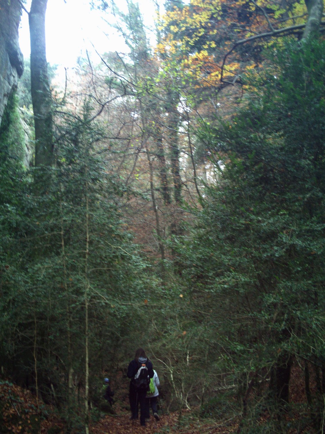Intern&aacute;ndonos en la sombra entre sus paredes