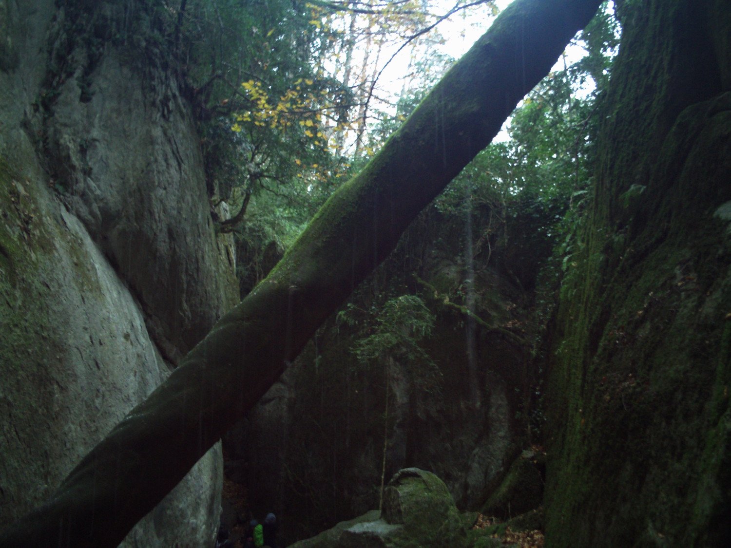 Entre las paredes en la cara norte de la Sierra dels Bufadors