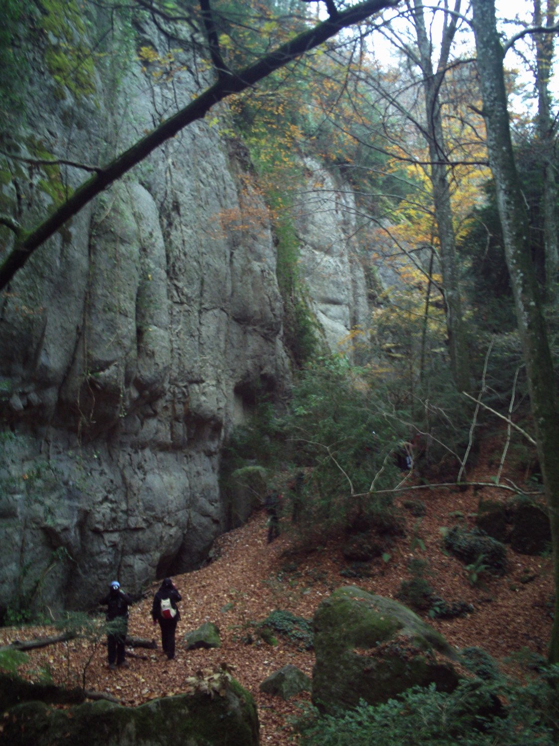 Entre las paredes en la cara norte de la Sierra dels Bufadors