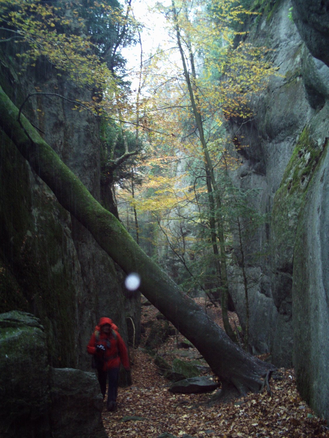 Entre las paredes en la cara norte de la Sierra dels Bufadors