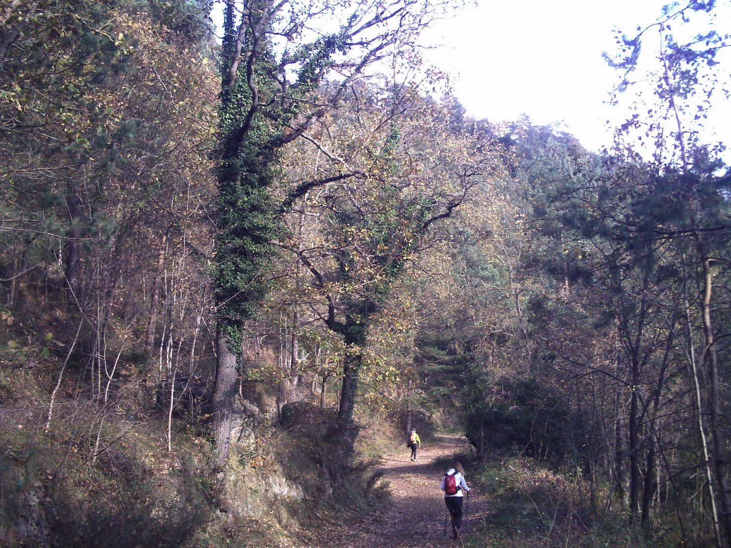 Subiendo por la Sierra de Lla&eacute;s hac&iacute;a el restaurante en Lla&eacute;s (Serra)