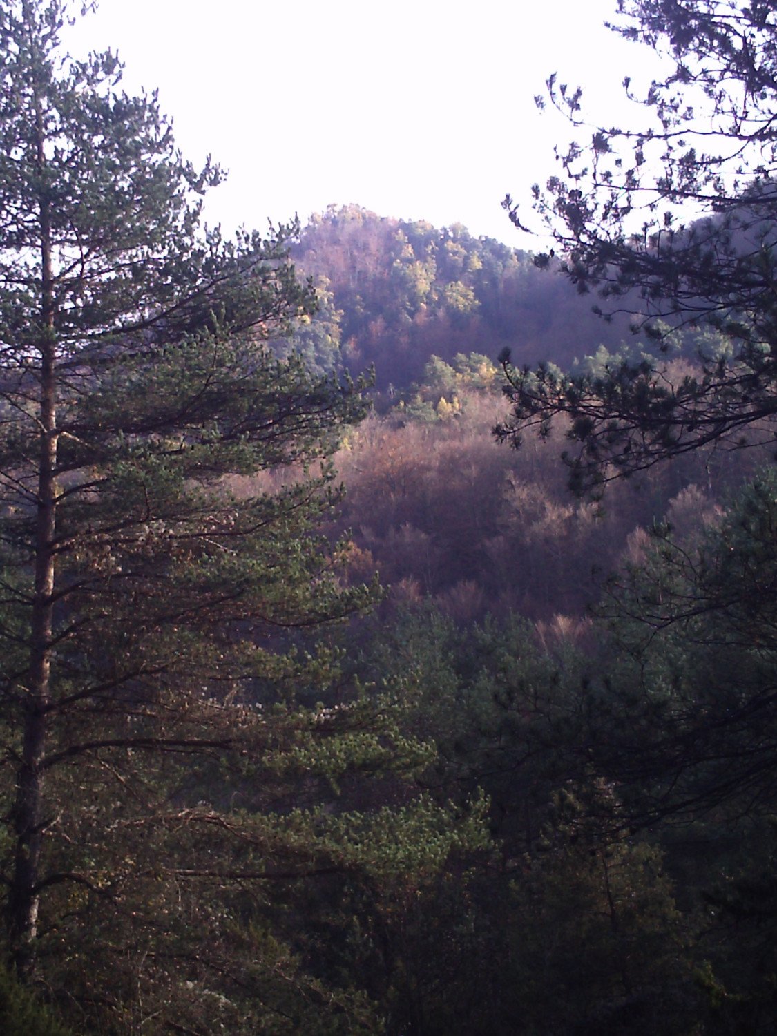 Vistas hac&iacute;a la Sierra dels Bufadors