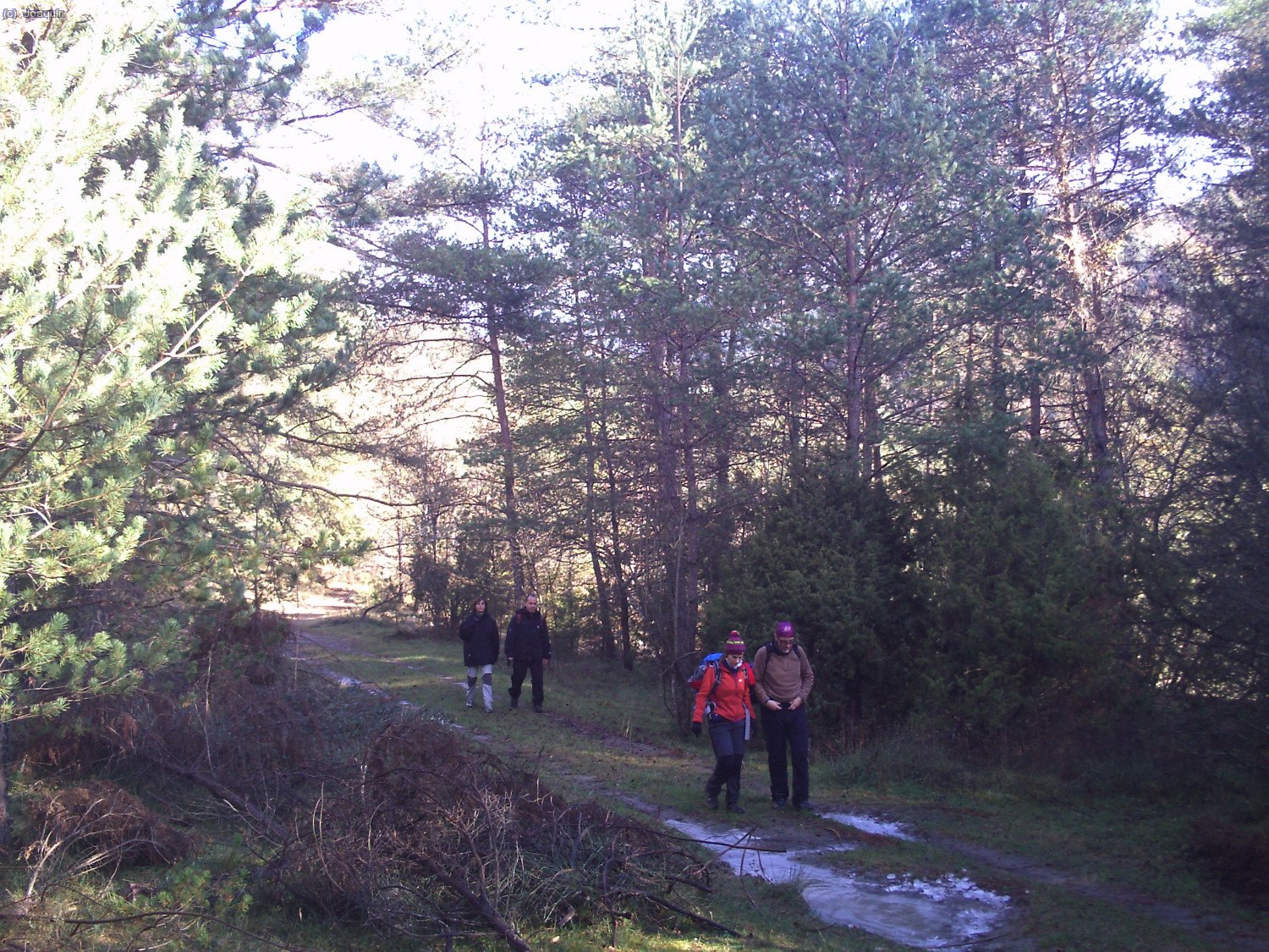 Subiendo por la Sierra de Lla&eacute;s hac&iacute;a el restaurante en Lla&eacute;s (Serra)