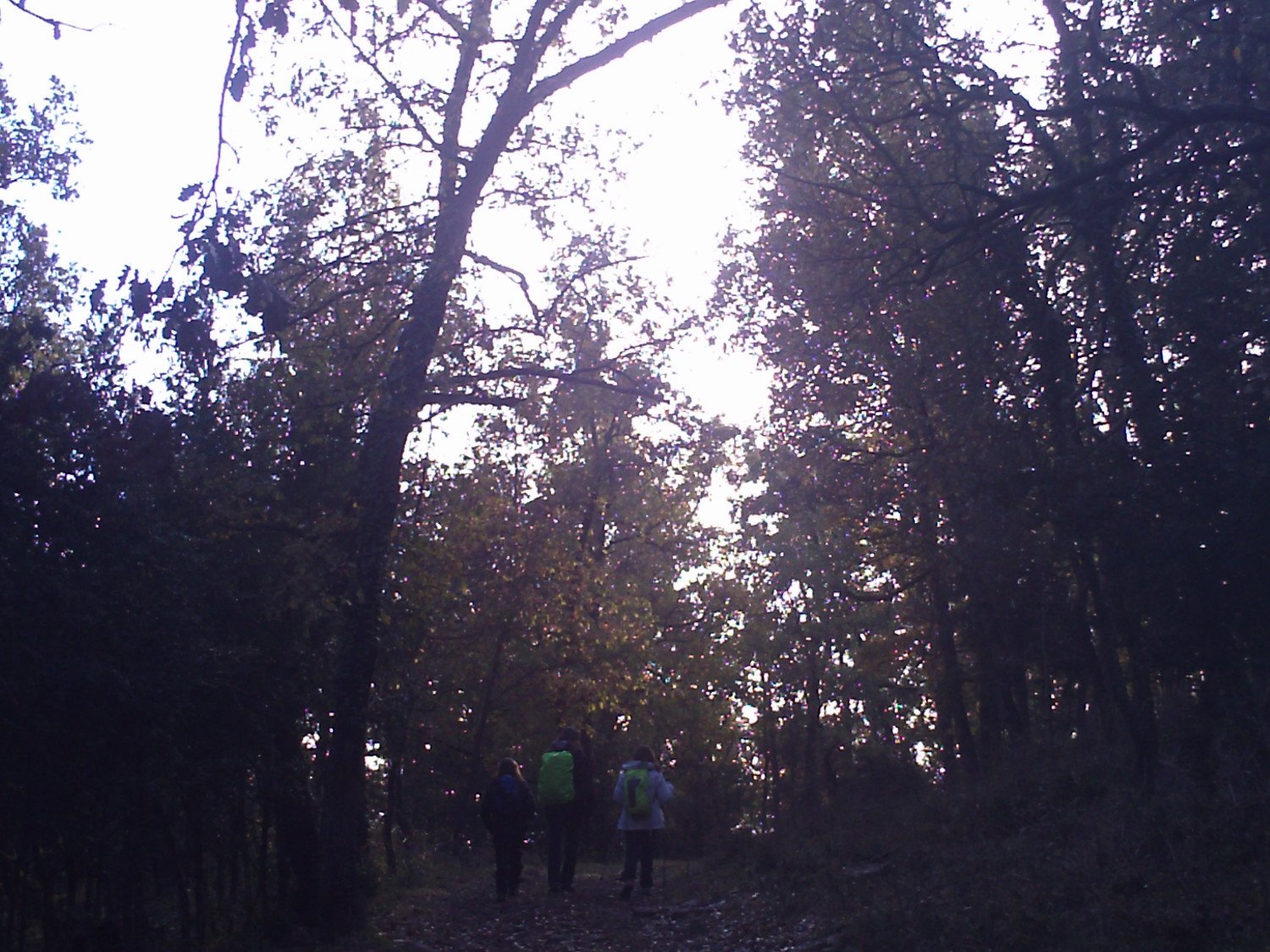 Subiendo por la Sierra de Lla&eacute;s hac&iacute;a el restaurante en Lla&eacute;s (Serra)