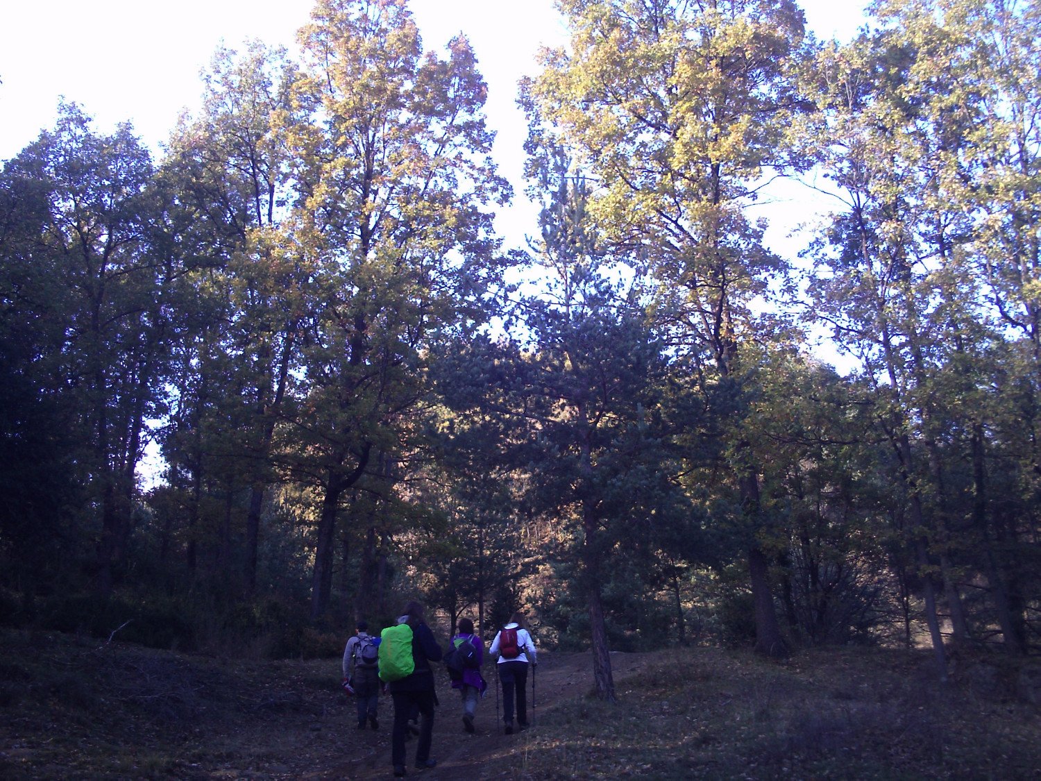 Subiendo por la Sierra de Lla&eacute;s hac&iacute;a el restaurante en Lla&eacute;s (Serra)