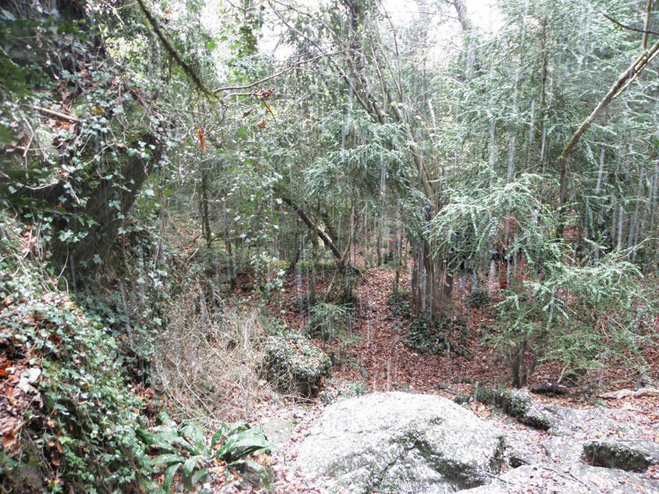 Nevando en la Sierra dels Bufadors (Foto: Kike)