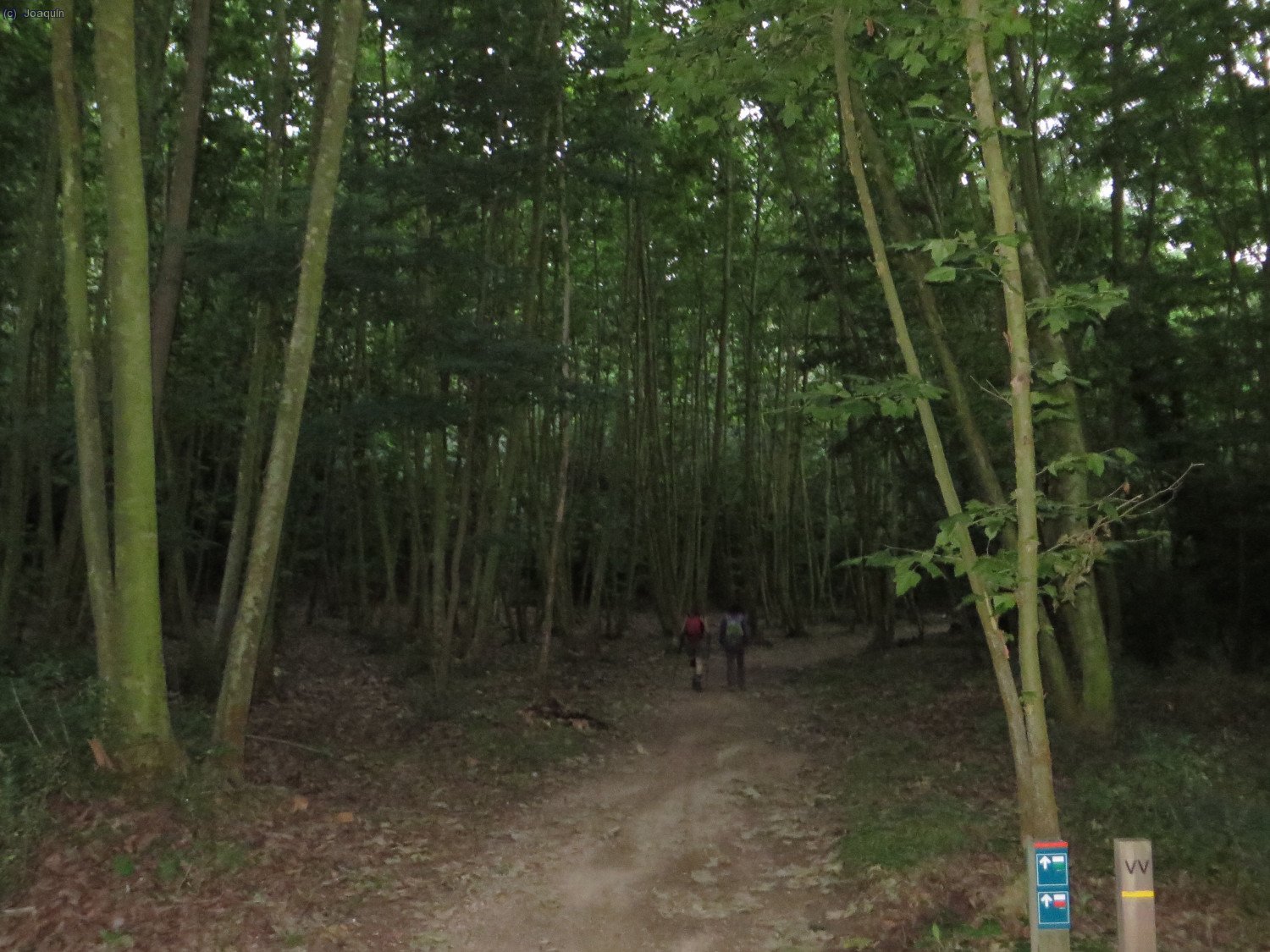 Bosques del Pl&aacute; del Forn