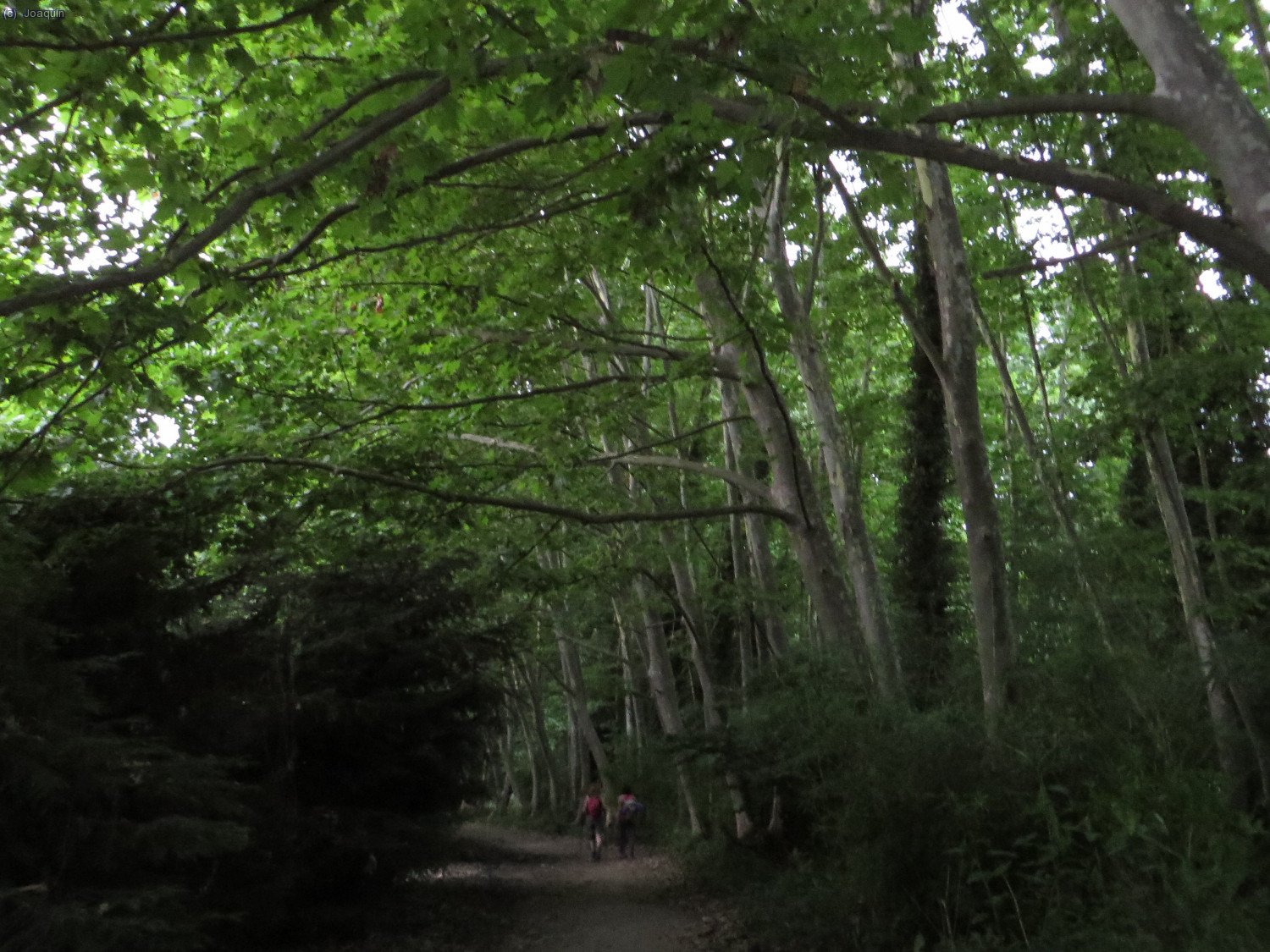 Saliendo de Vallgorguina