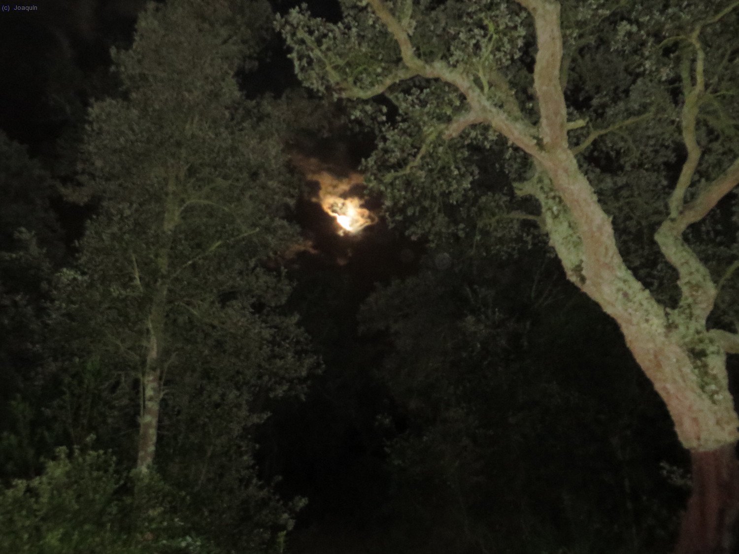 Y de repente sale la Luna Llena