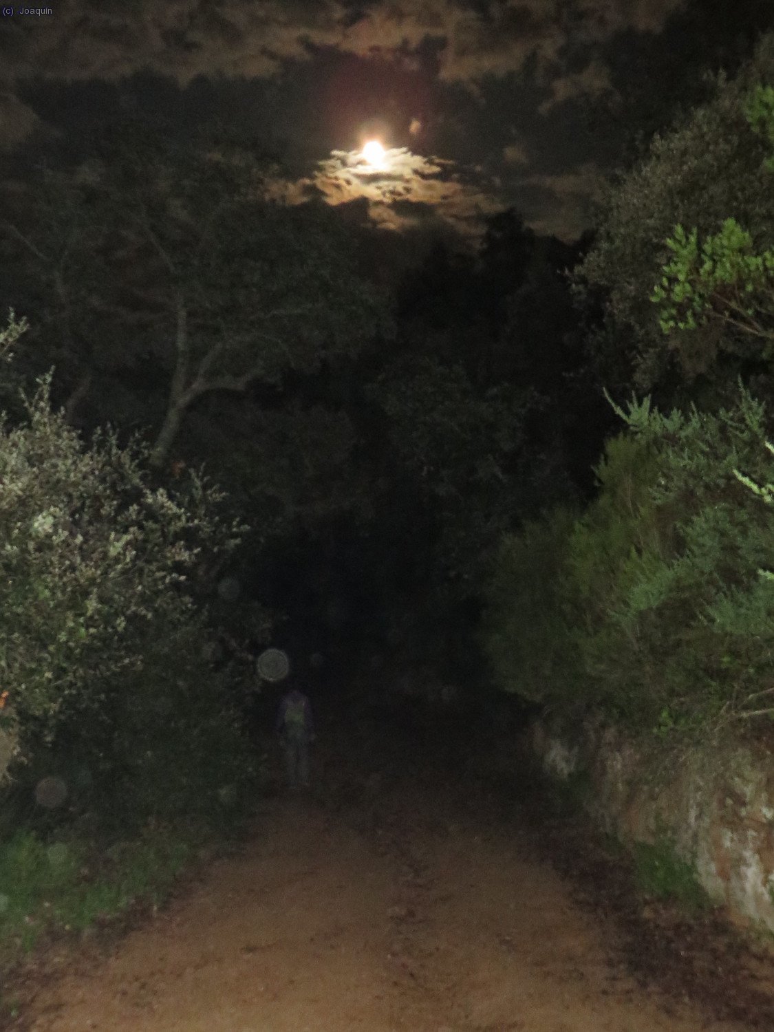 El camino que recorremos bajo la luna llena