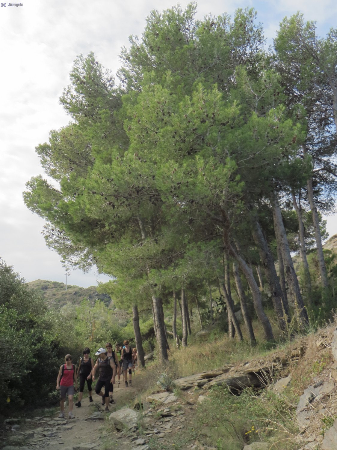 Comenzamos el "Cam&iacute; Vell al Cap de Creus"