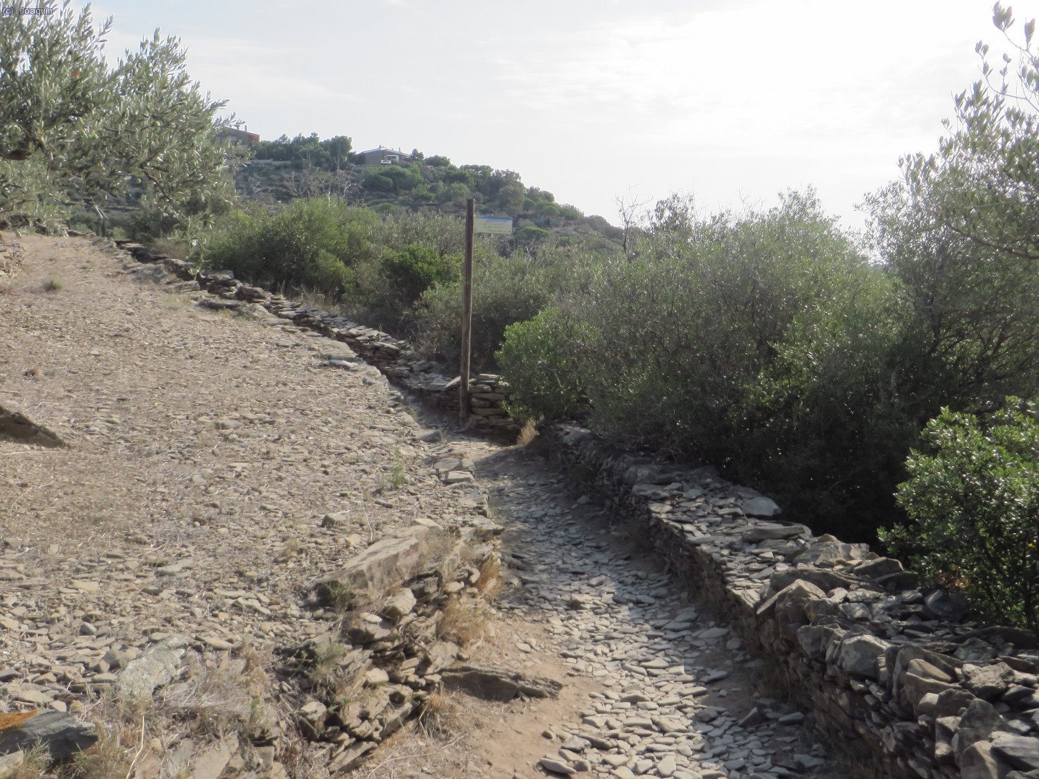 "Cam&iacute; Vell al Cap de Creus"