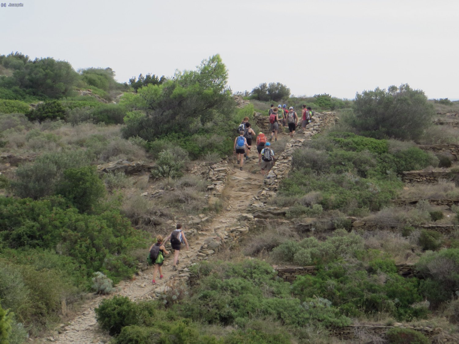 "Cam&iacute; Vell al Cap de Creus"