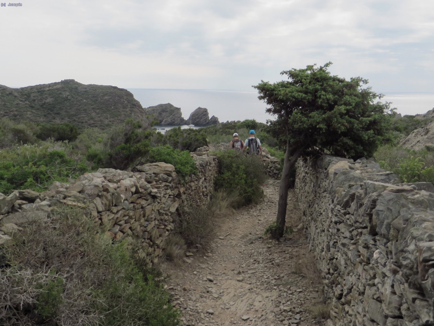 "Cam&iacute; Vell al Cap de Creus", al fondo Ses Ielles