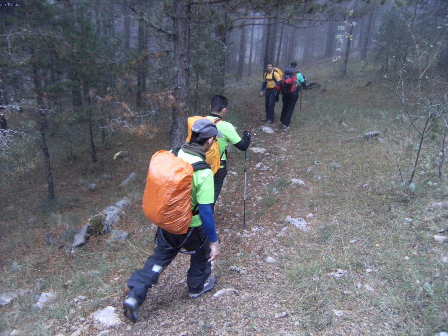 Metidos entre los formidables bosques nublados.