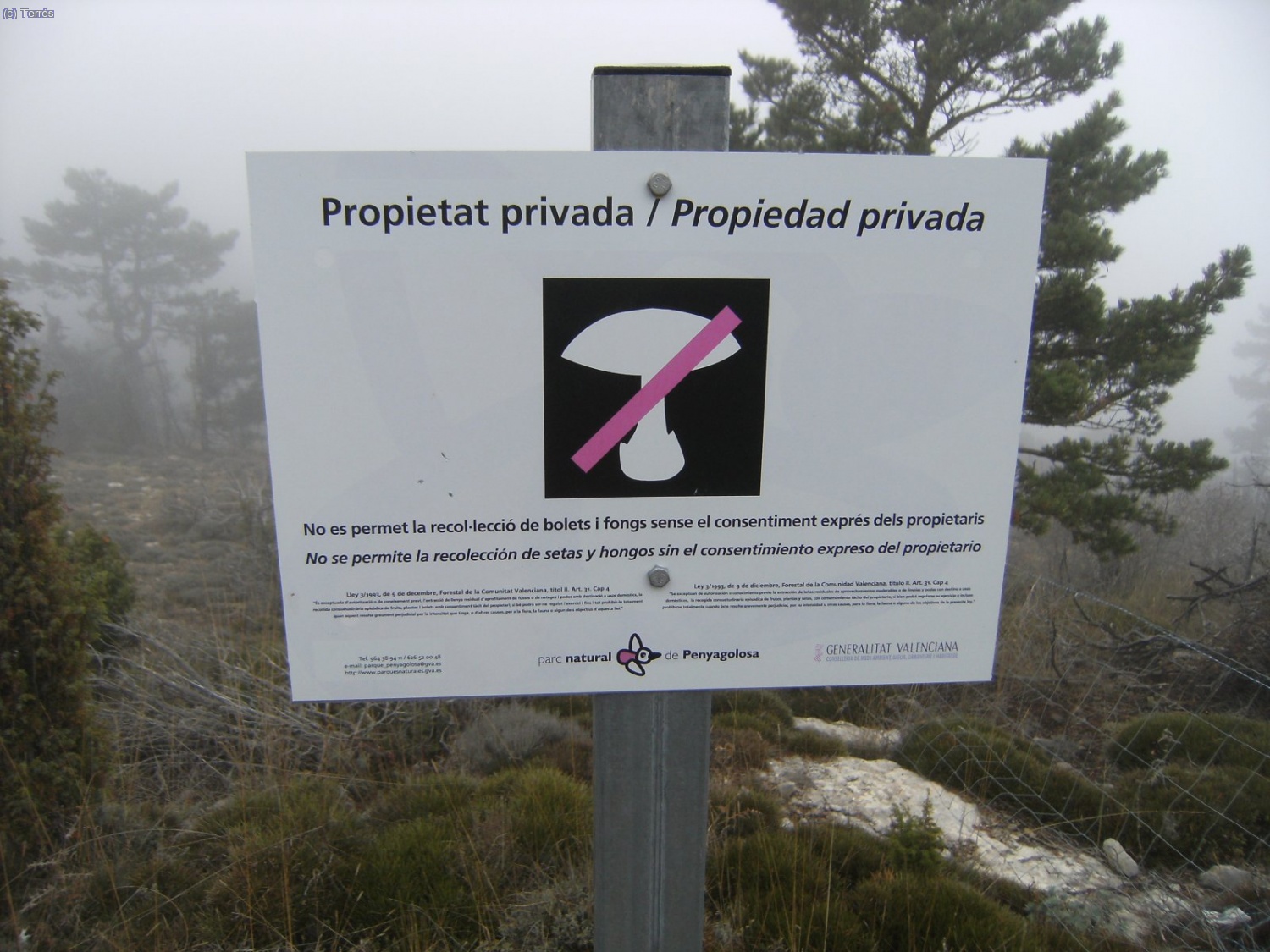 Prohibido coger setas.