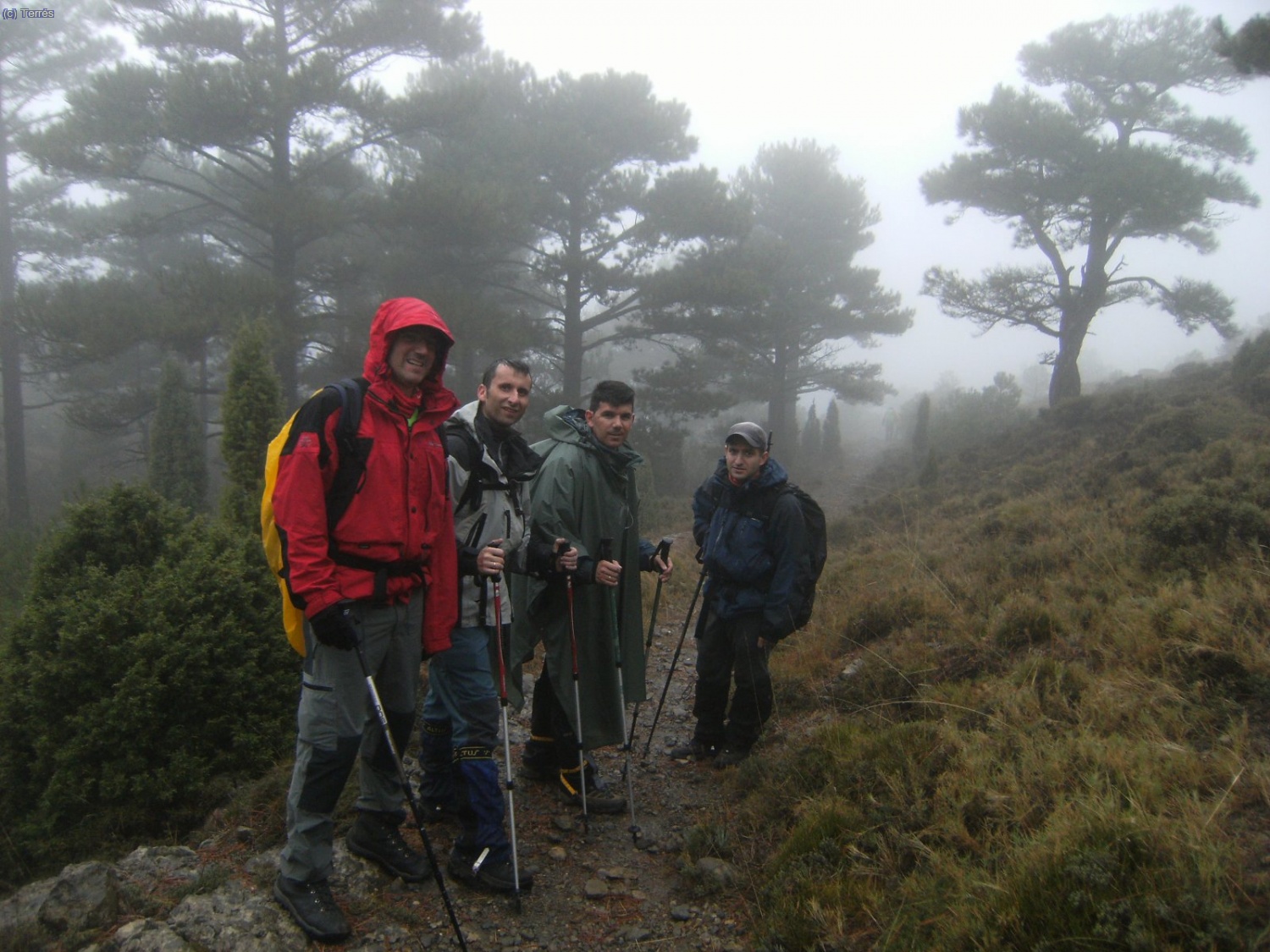 Pasado el Cantal de Miquelet hac&iacute;a la Fuente del Paso.