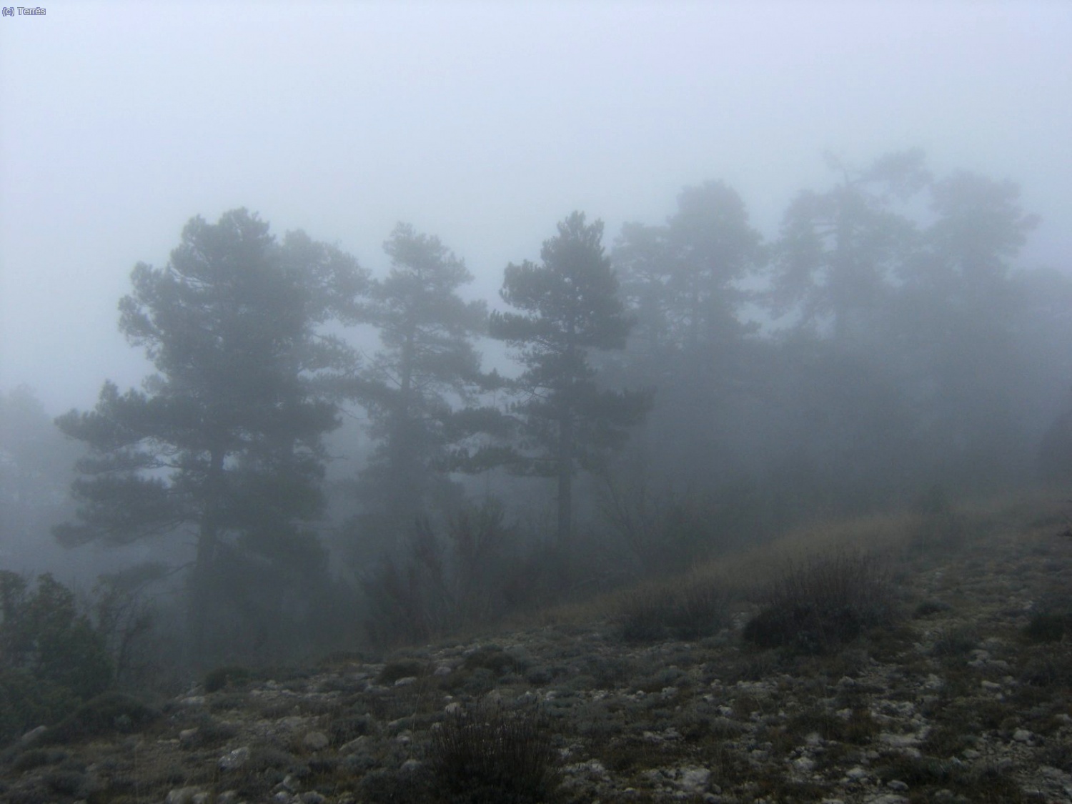 Abundante niebla y nubes en la marcha.