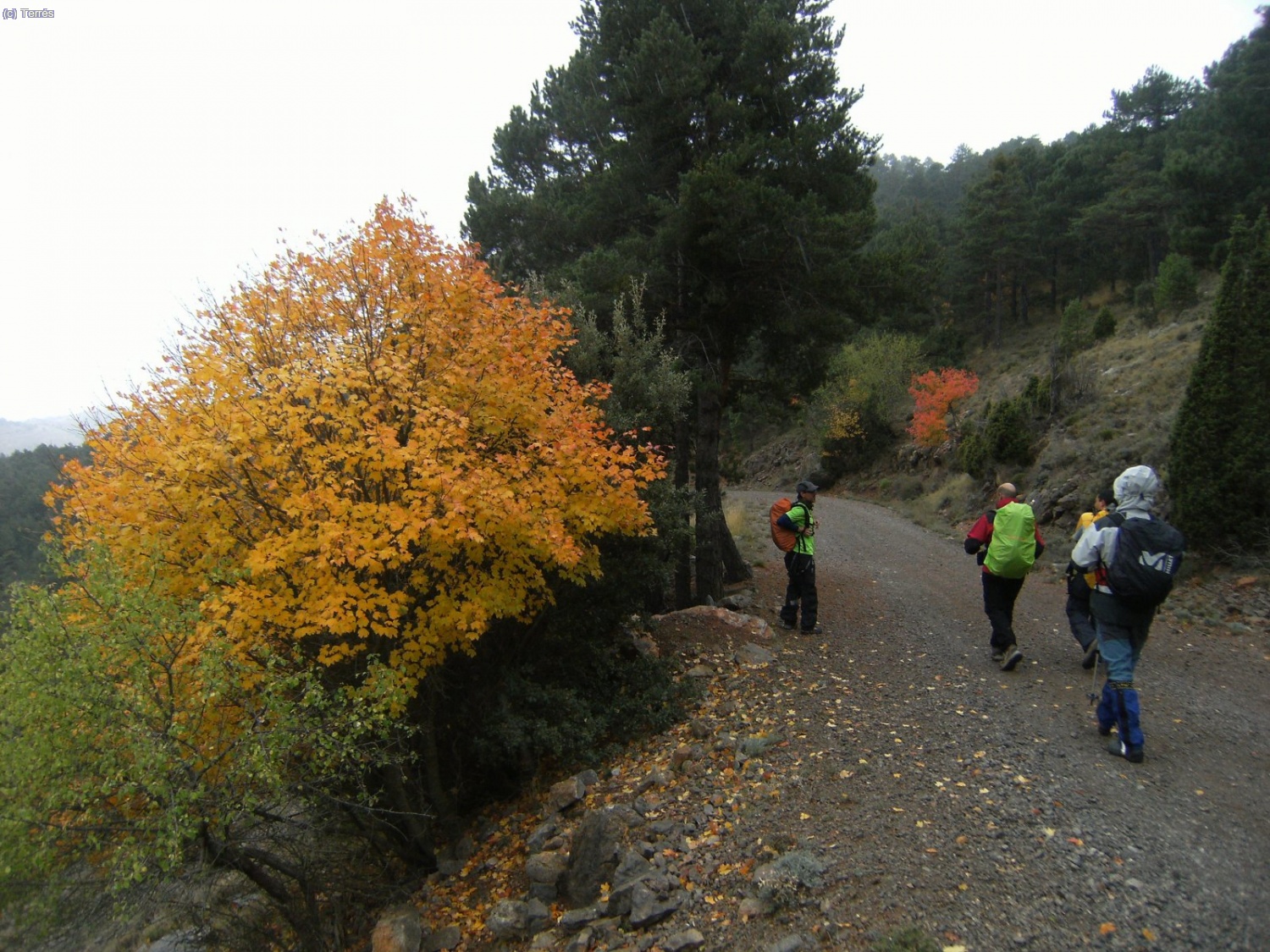 Ahora seguimos la pista.
