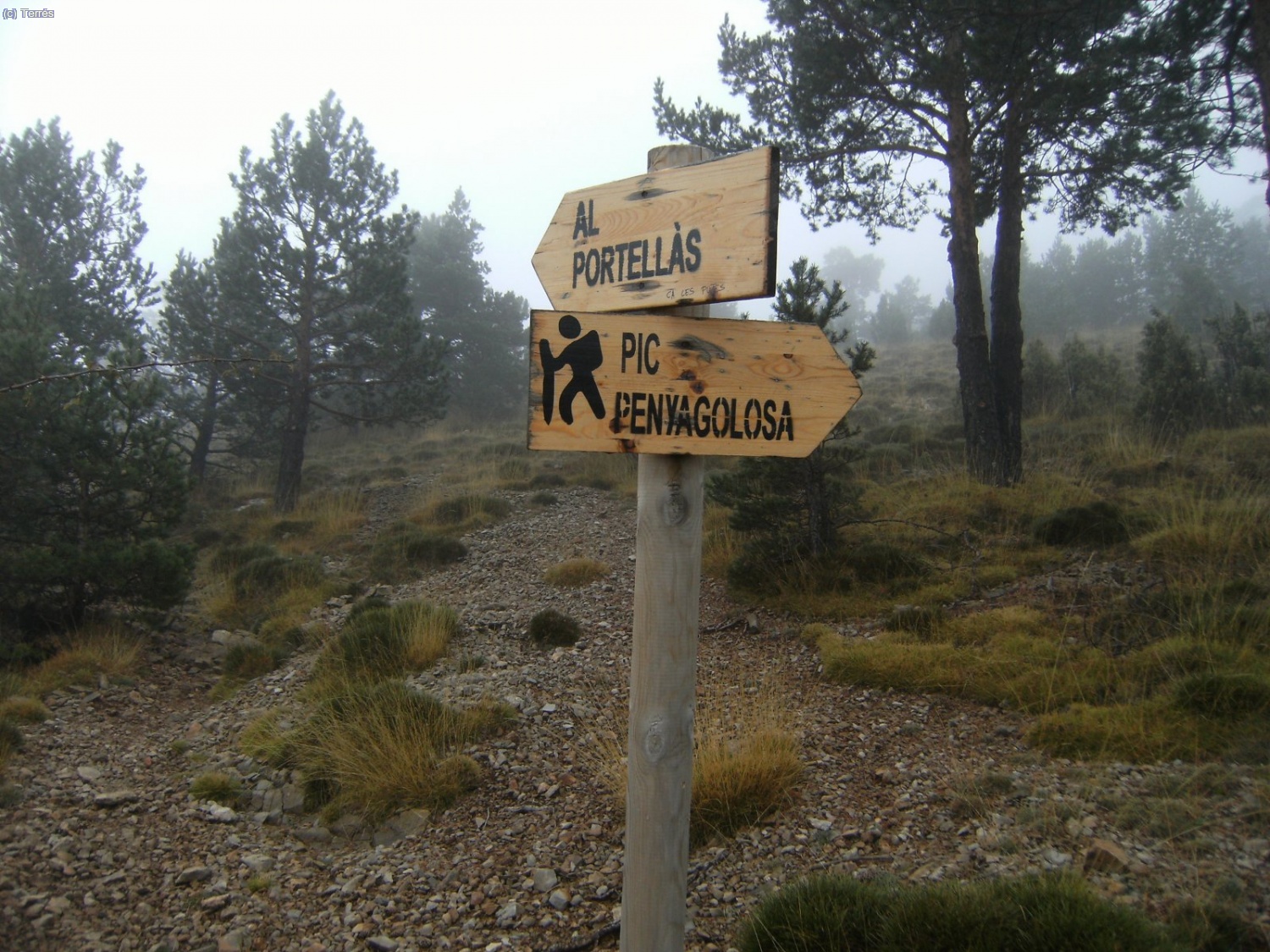 Carteles señalizadores en la subida al Peñagolosa.