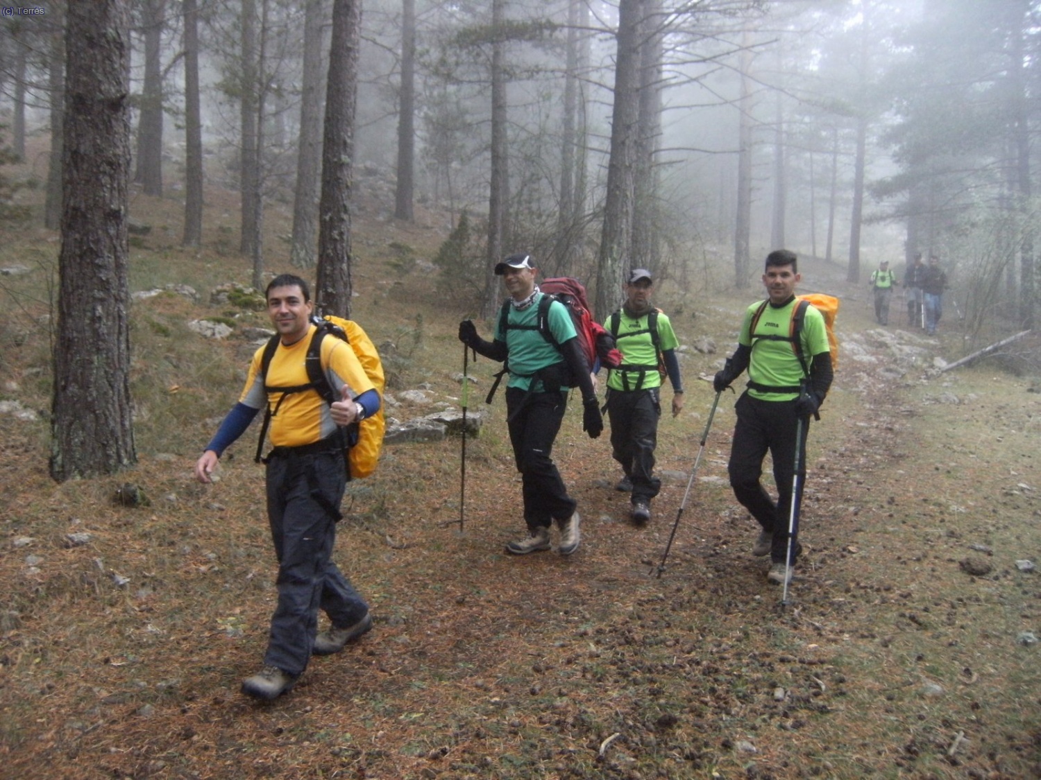 Metidos entre los formidables bosques nublados.