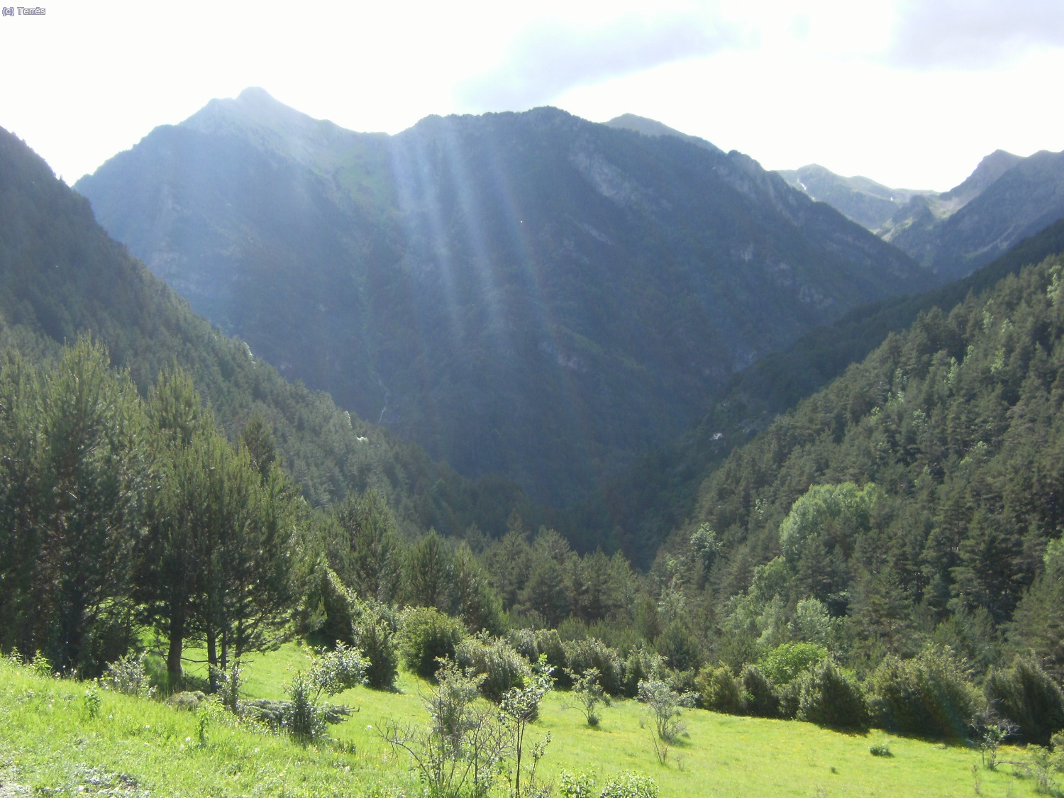 Valle de Sant Nicolau y pico l