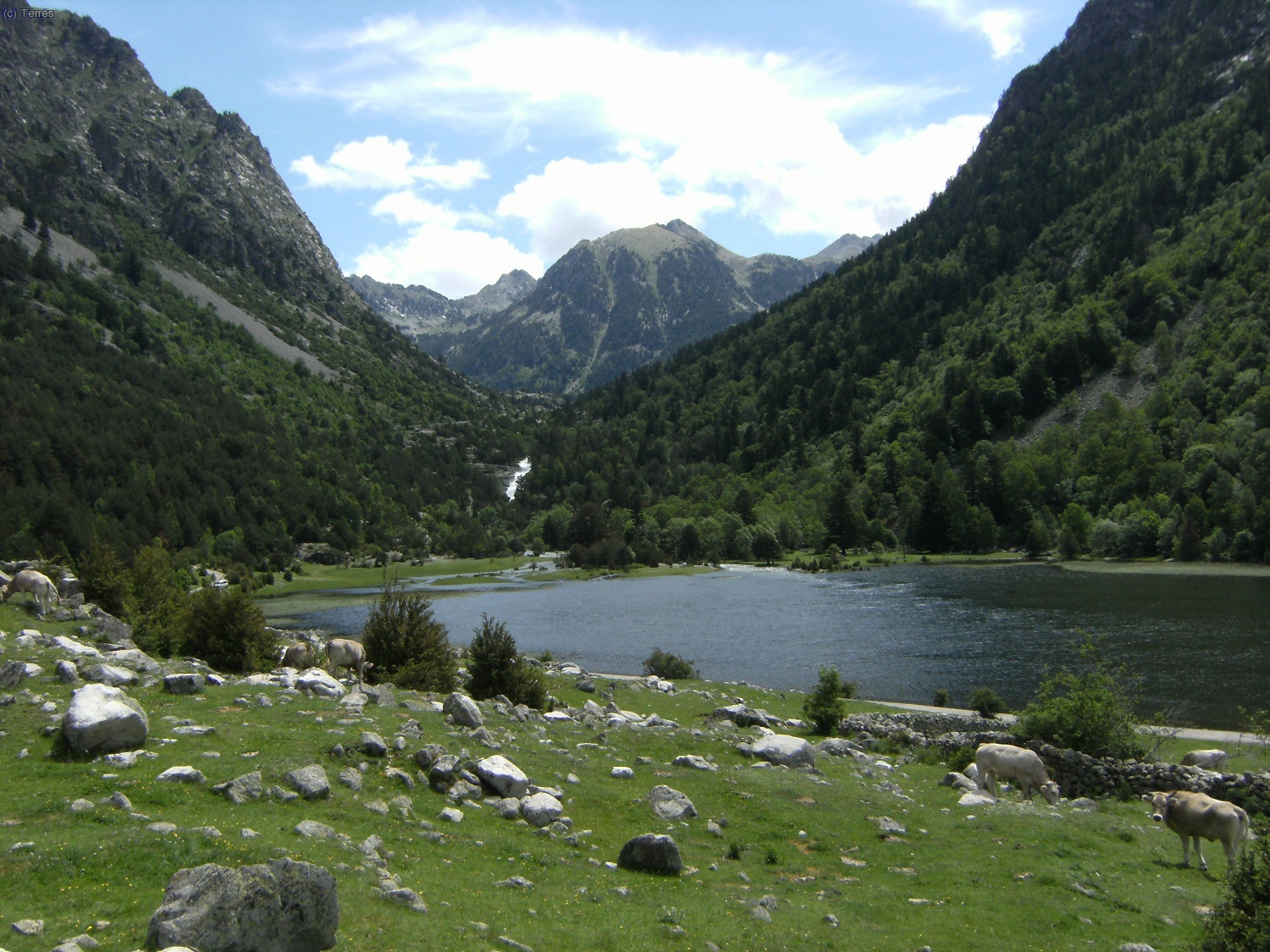 Estany Llebreta