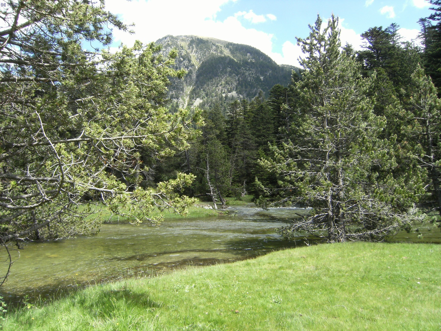 Aig&uuml;estortes