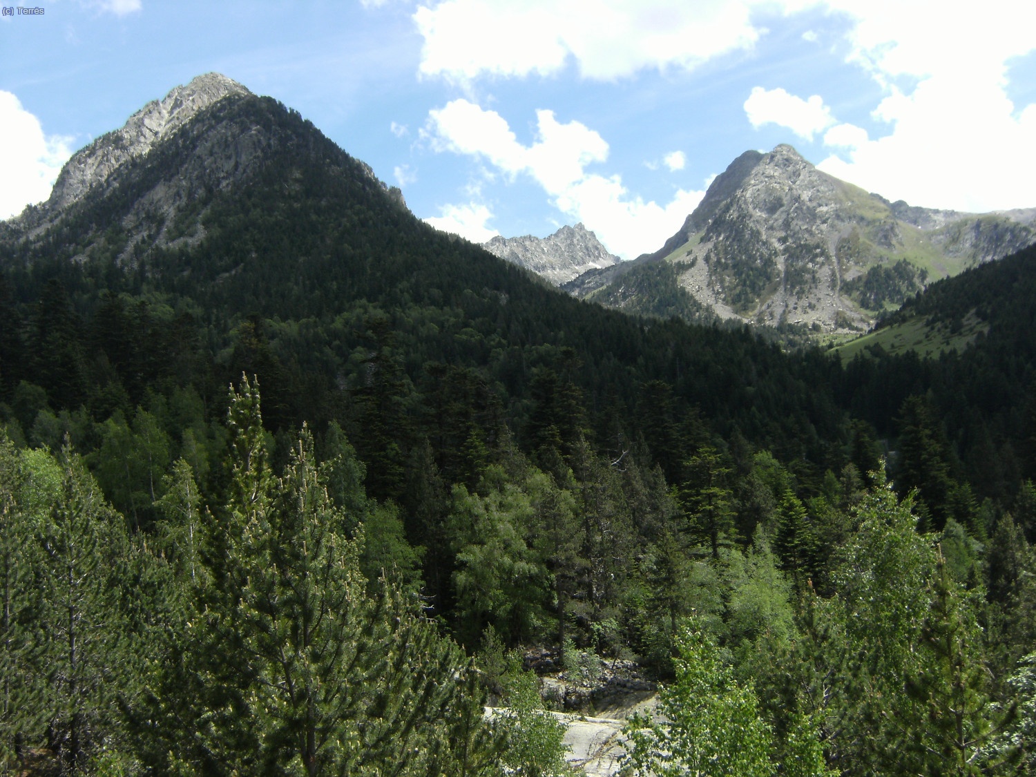 Vista hac&iacute;a la Vall de Les Mussoles