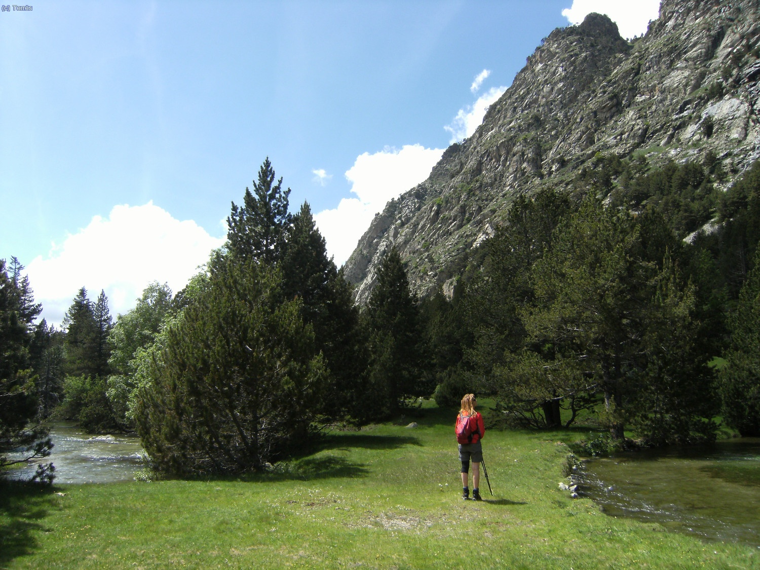 Aig&uuml;estortes