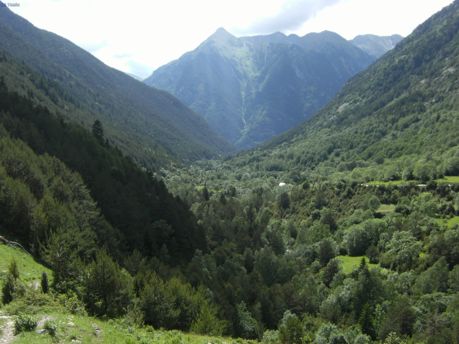 Valle de Sant Nicolau y pico l