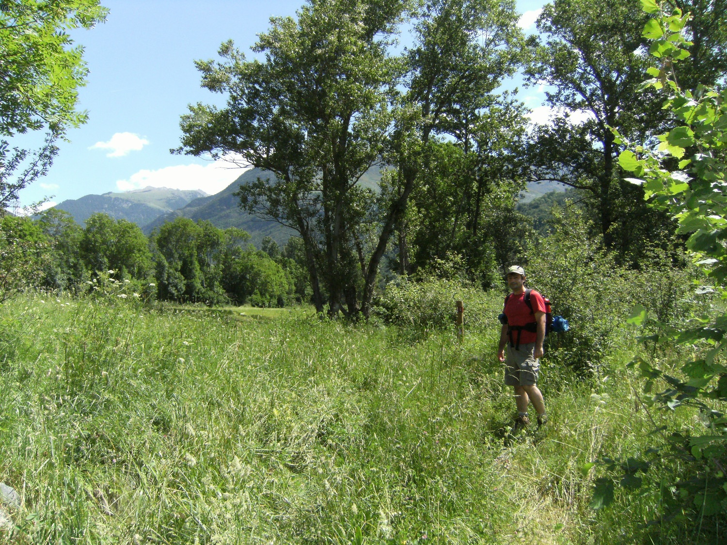 Joaqu&iacute;n Terr&eacute;s camino de Erill la Vall