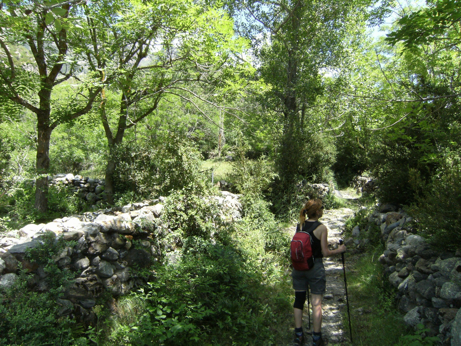 Acerc&aacute;ndonos a Erill la Vall