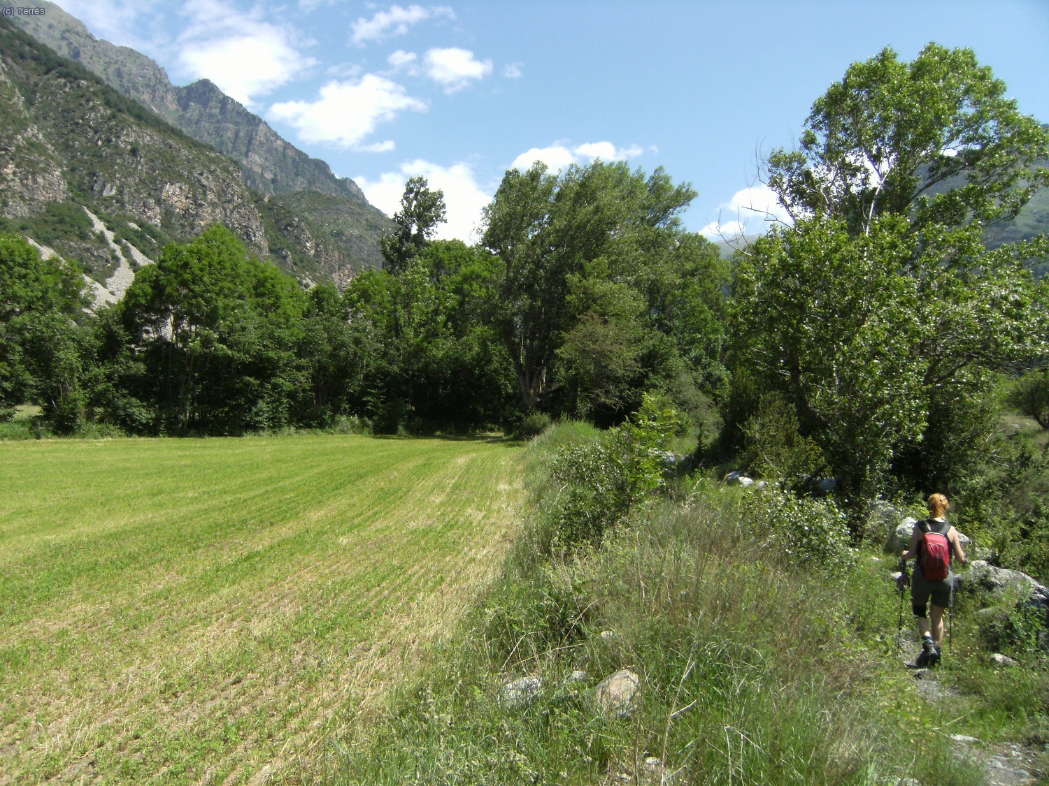 Prados camino de Erill la Vall