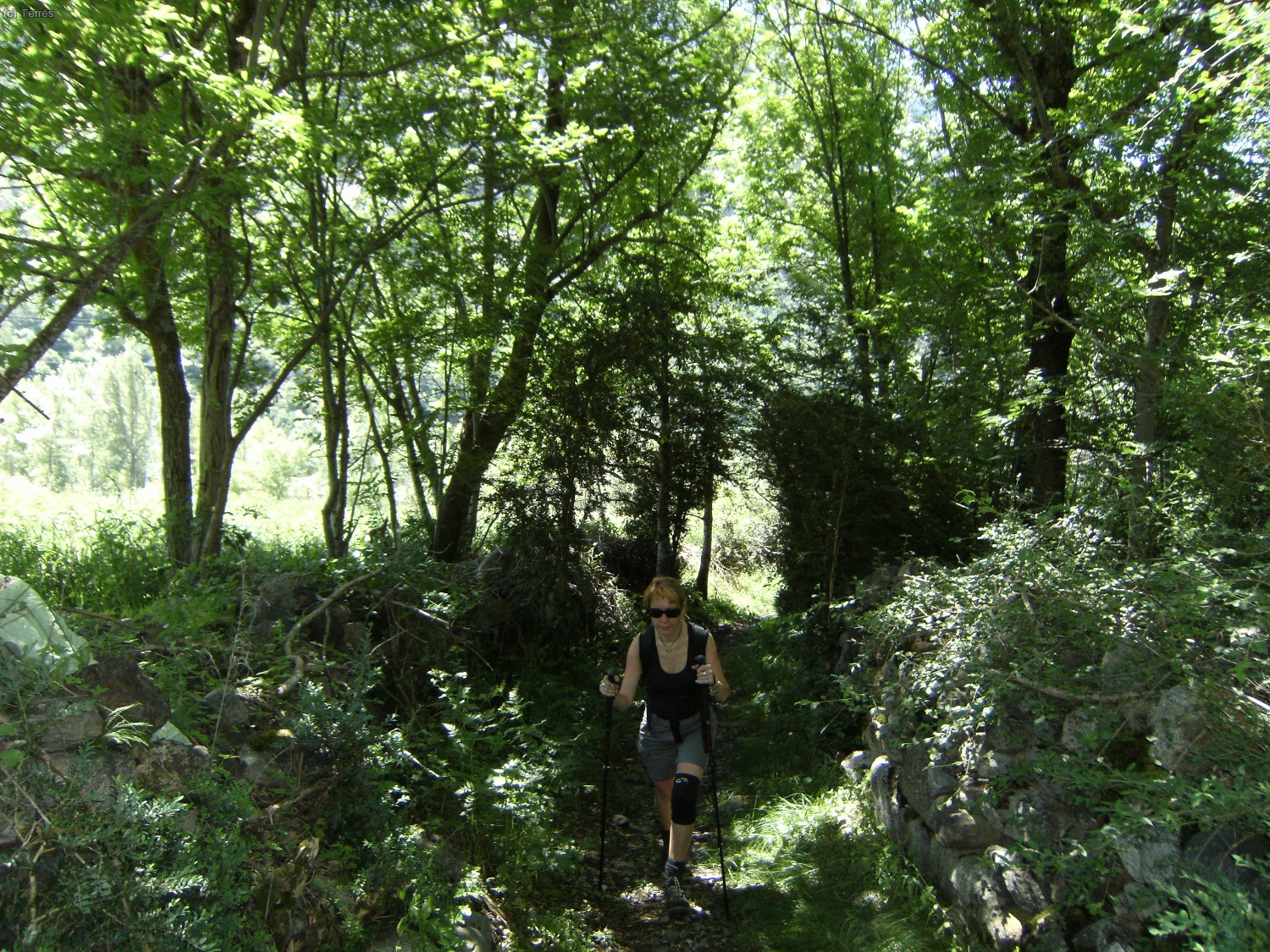 Anna camino de Erill la Vall