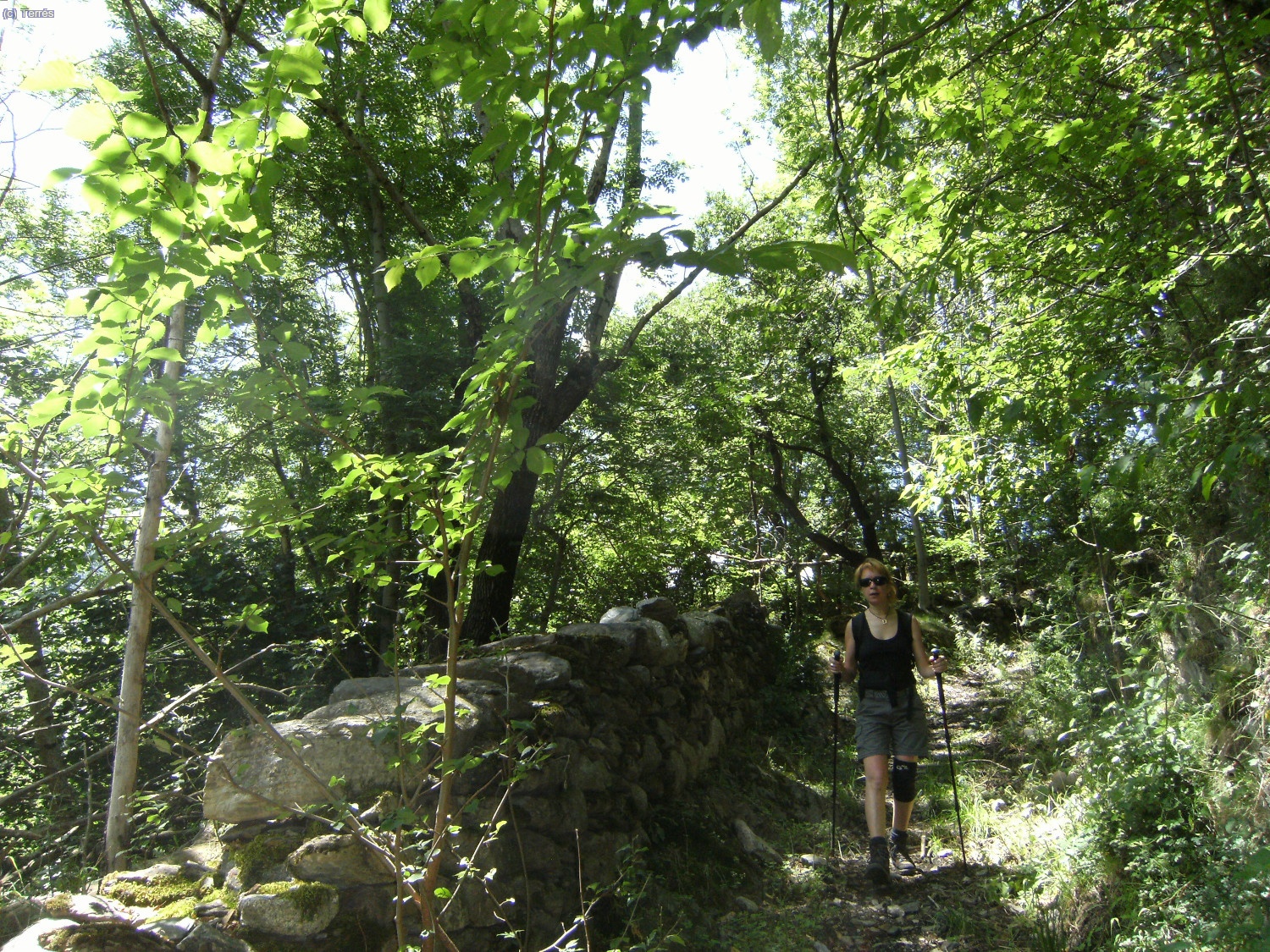 Bajando de Erill la Vall