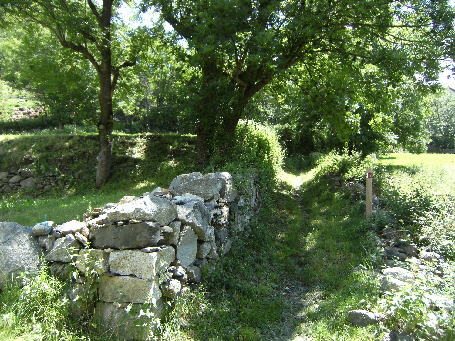 Camino de Bo&iacute; y carteles