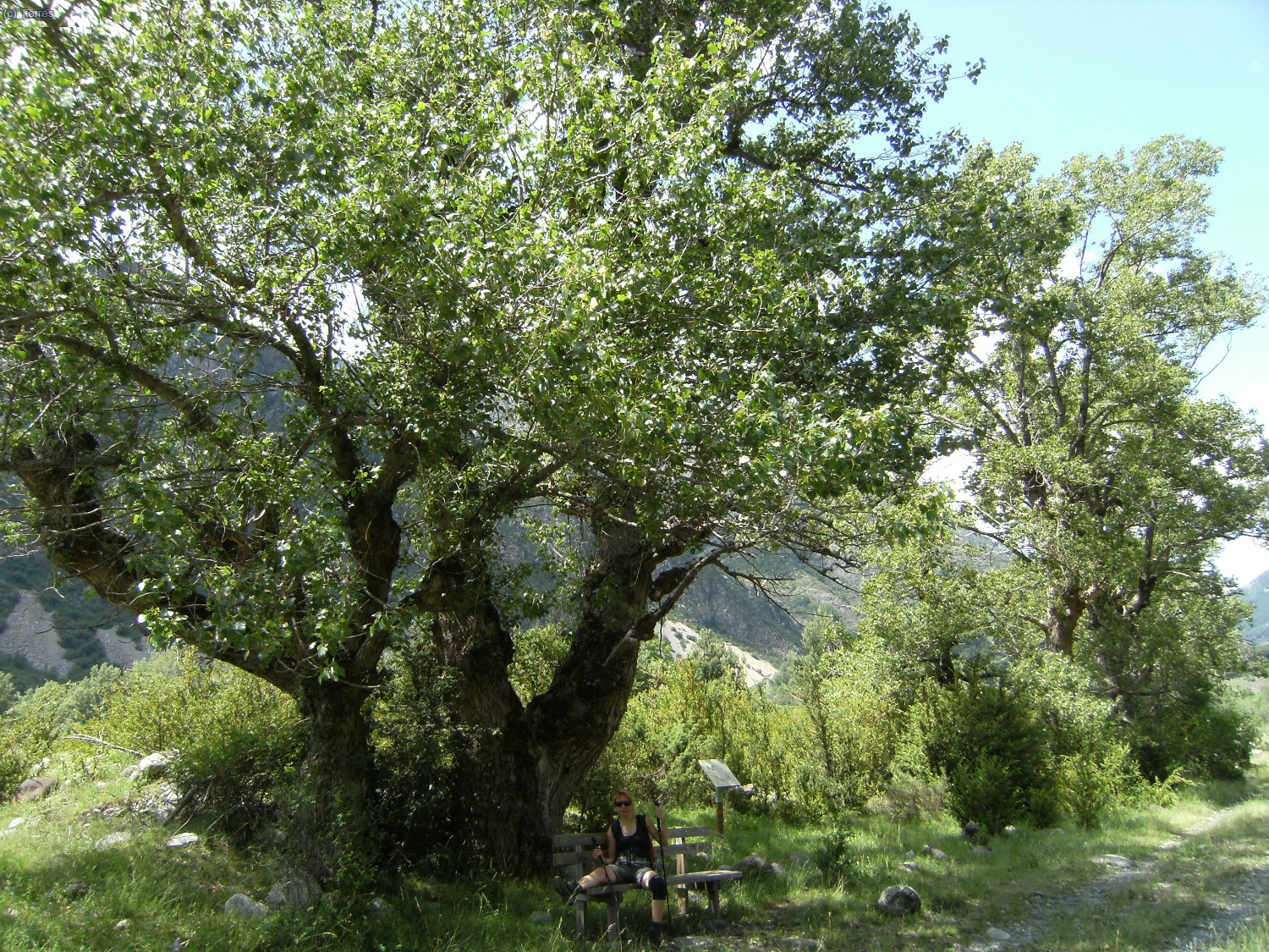 Bajamos al Plano de Bo&iacute; en el fondo del valle